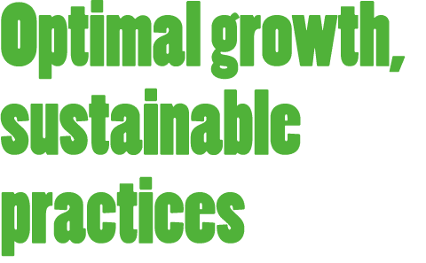 Optimal growth, sustainable practices 