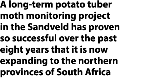 A long term potato tuber moth monitoring project in the Sandveld has proven so successful over the past eight years t...