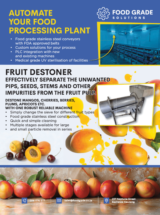 A4 Flyer Poster Brochure Social Media Post Promotion Design Template.