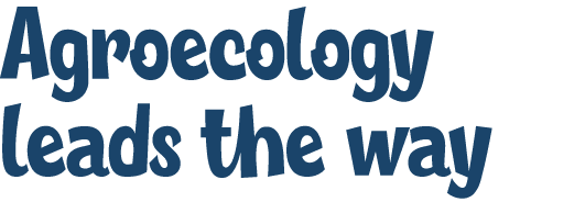 Agroecology leads the way 