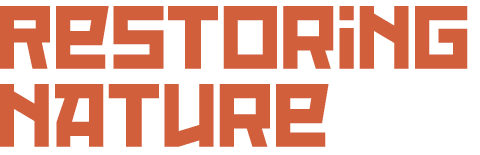 Restoring nature 