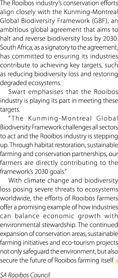 The Rooibos industry&rsquo;s conservation efforts align closely with the Kunming Montreal Global Biodiversity Framework (GB...