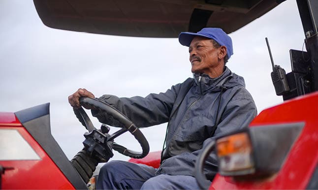 Vine cuttings harvest tractor driver driving tractor looking forward Wellington, South Africa