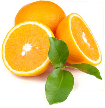 Fresh juicy oranges