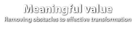 Meaningful value Removing obstacles to effective transformation