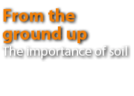 From the ground up The importance of soil