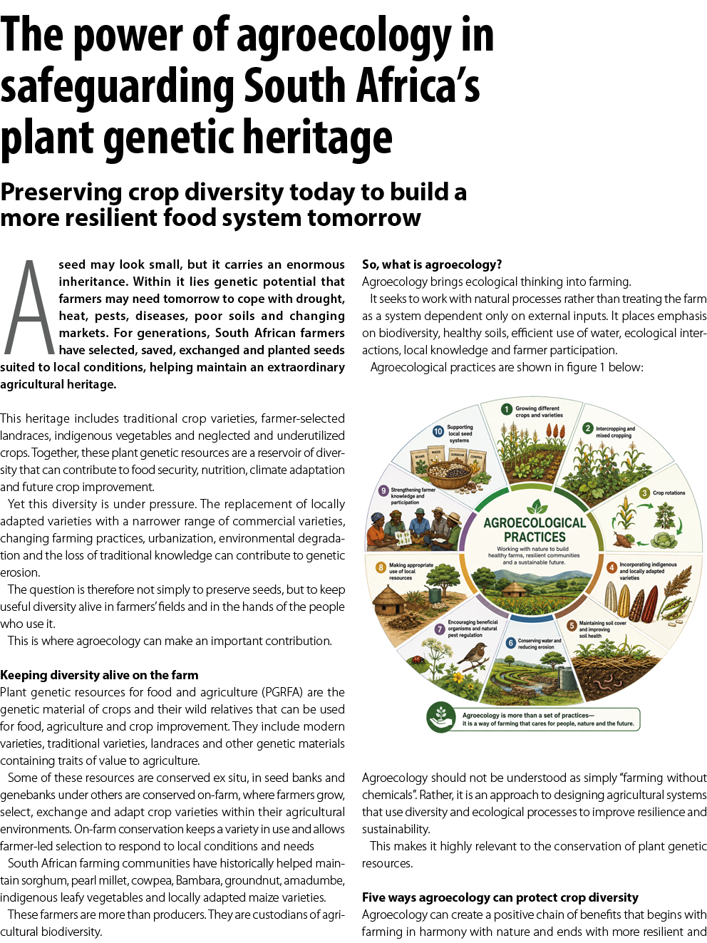 The power of agroecology in safeguarding South Africa&rsquo;s plant genetic heritage Preserving crop diversity today to bui...