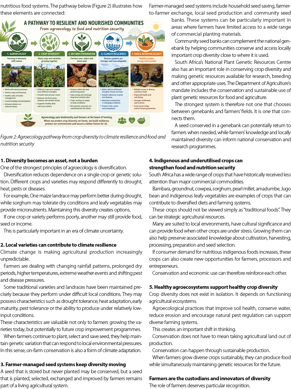 nutritious food systems. The pathway below (Figure 2) illustrates how these elements are connected:  1. Diversity bec...