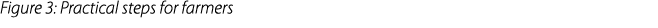 Figure 3: Practical steps for farmers 