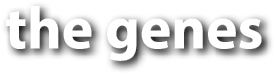Polygon