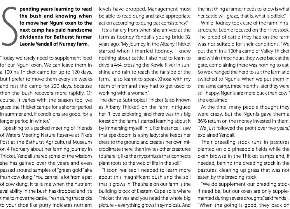 Spending years learning to read the bush and knowing when to move her Nguni oxen to the next camp has paid handsome d...