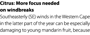 Citrus: More focus needed on windbreaks Southeasterly (SE) winds in the Western Cape in the latter part of the year c...