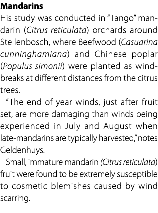 Mandarins His study was conducted in “Tango” mandarin (Citrus reticulata) orchards around Stellenbosch, where Beefwoo...