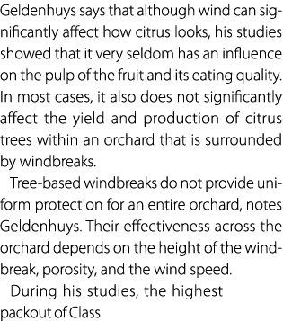 Geldenhuys says that although wind can significantly affect how citrus looks, his studies showed that it very seldom ...
