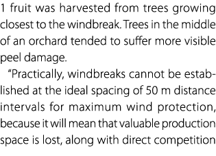 1 fruit was harvested from trees growing closest to the windbreak. Trees in the middle of an orchard tended to suffer...