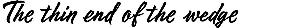 The thin end of the wedge