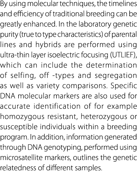 By using molecular techniques, the timelines and efficiency of traditional breeding can be greatly enhanced. In the l...