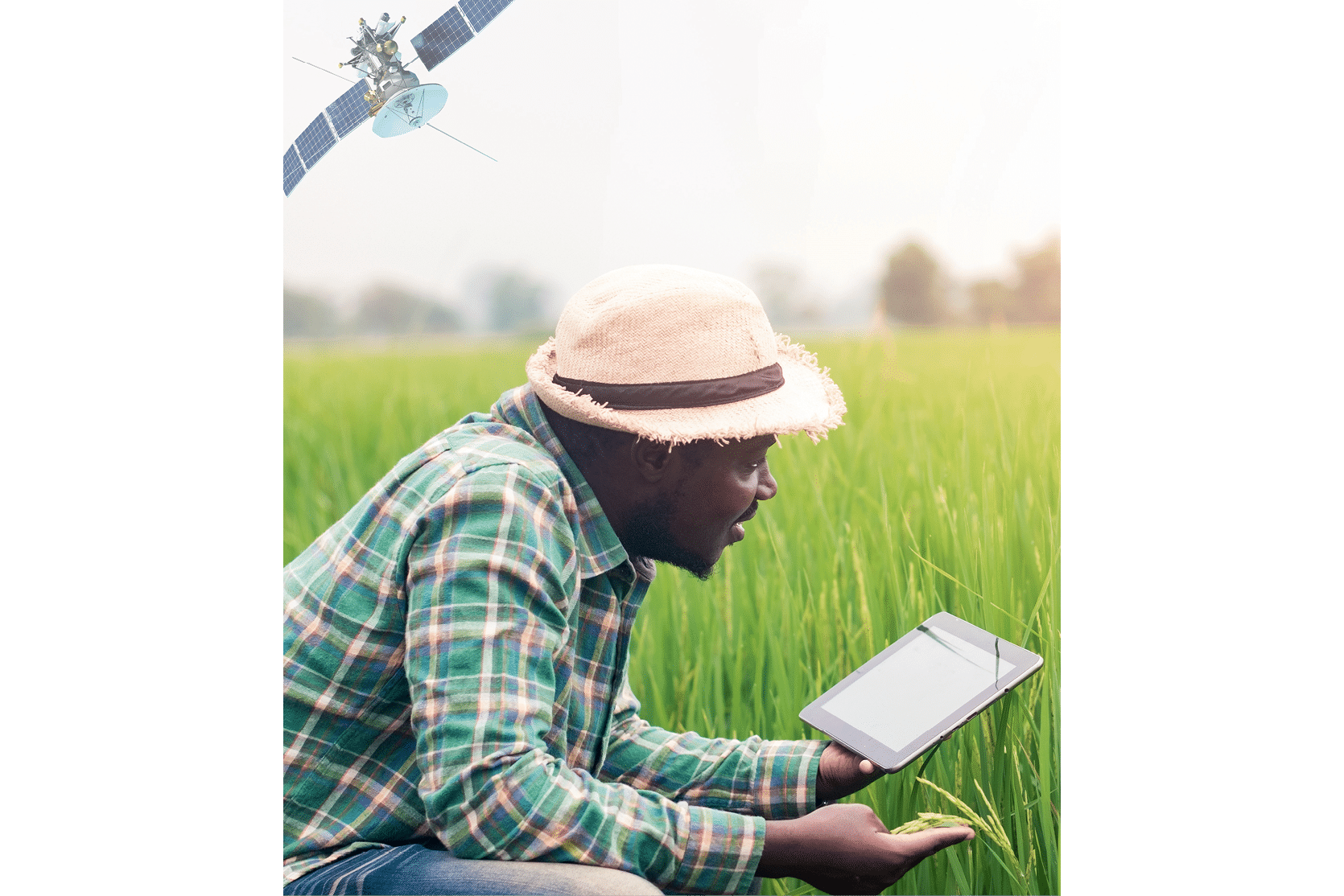 African farmer using a tablet for research leaves of rice in organic farm field.Agriculture or cultivation concept