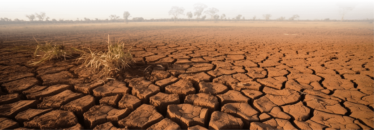 Arid mud landscape, broken tree sunset season generated by artificial intelligence
