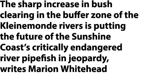 The sharp increase in bush clearing in the buffer zone of the Kleinemonde rivers is putting the future of the Sunshin...