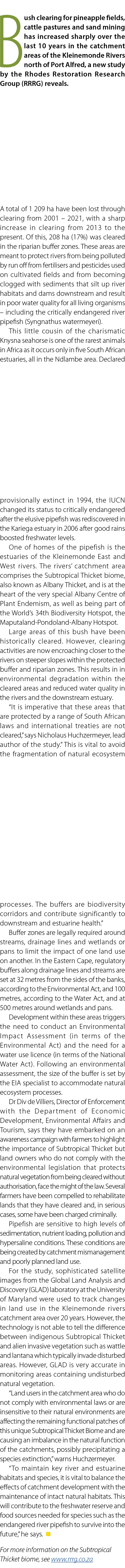 Bush clearing for pineapple fields, cattle pastures and sand mining has increased sharply over the last 10 years in t...