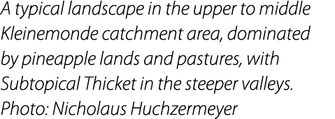 A typical landscape in the upper to middle Kleinemonde catchment area, dominated by pineapple lands and pastures, wit...