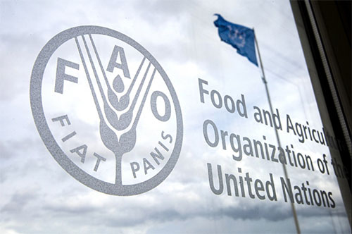 FAO, AUC launch guide to help countries enter Africa's new single market