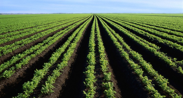 Technology to drive SA agriculture toward sustainability