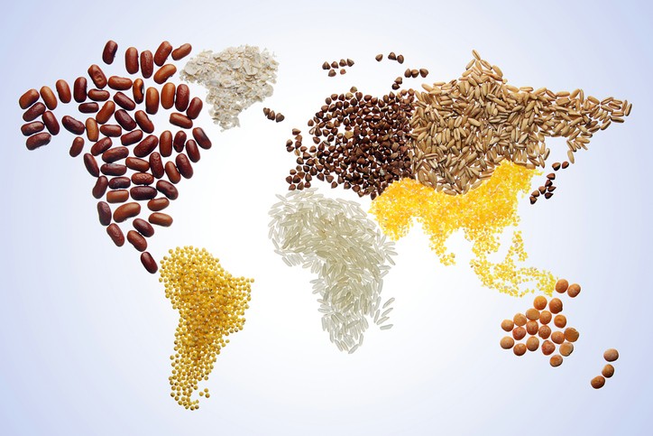 What do major agricultural forecasters say about the 2021/22 global grains and oilseeds season?