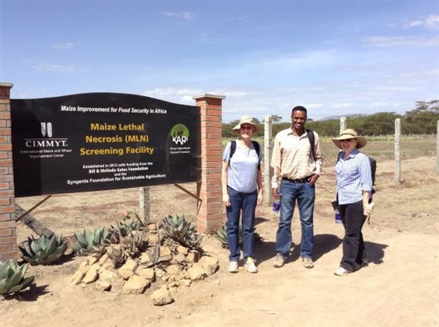 How research, collaboration are contributing to food security in Africa