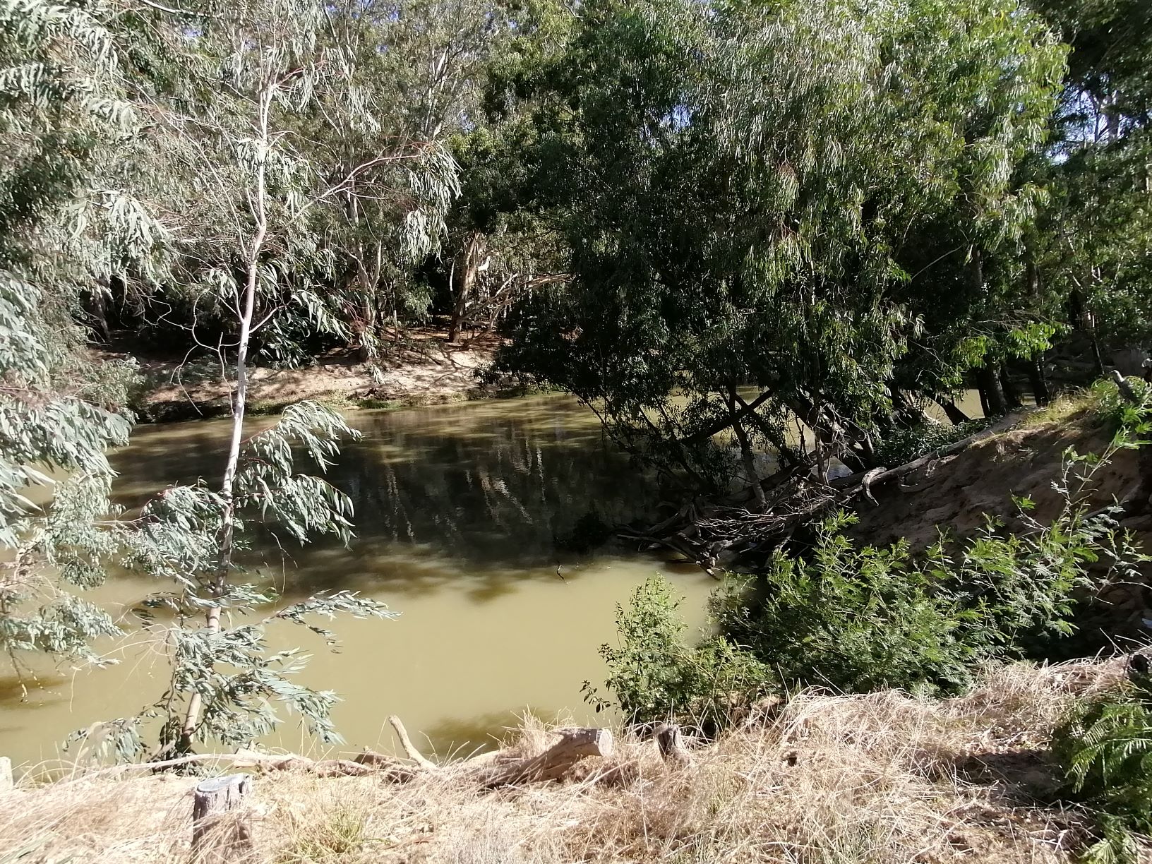 PROTECTING AND RESTORING OUR NATURAL ECOSYSTEMS WILL BOOST OUR ECONOMY