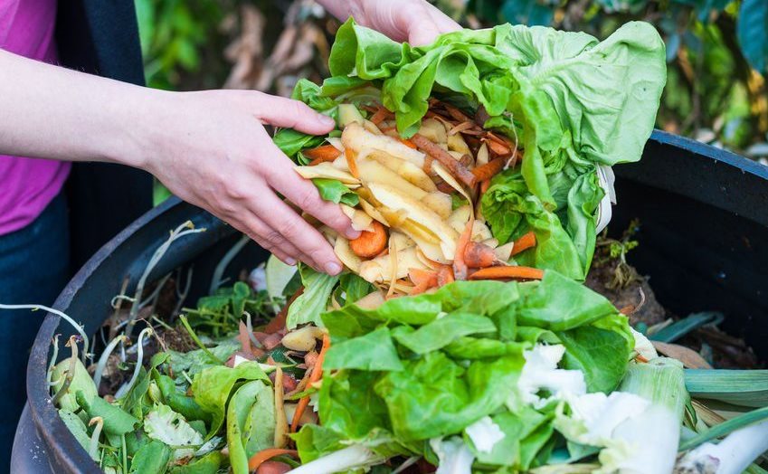 We throw away a third of the food we grow - here's what to do about waste