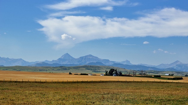 Expropriation without compensation threatens agricultural sector