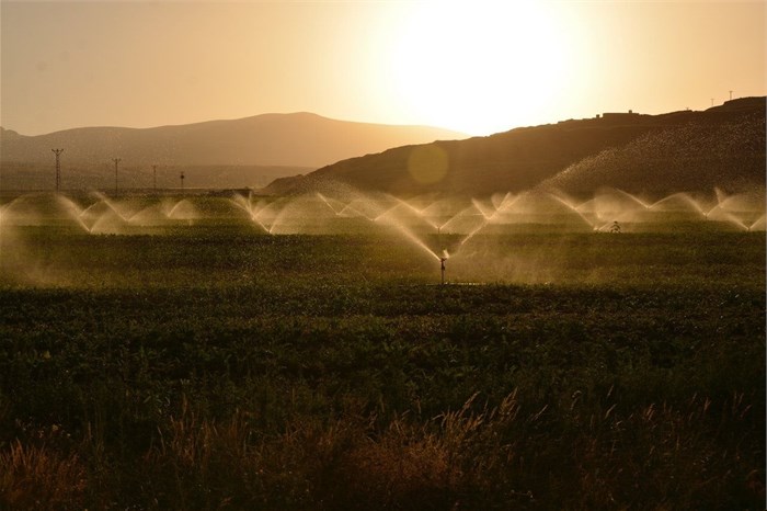 SCA ruling allows for trade of water use entitlements