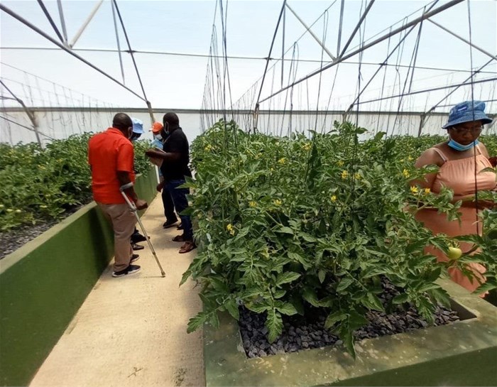 Aquaponics farming helps Free State farmers living with disabilities sustain livelihoods