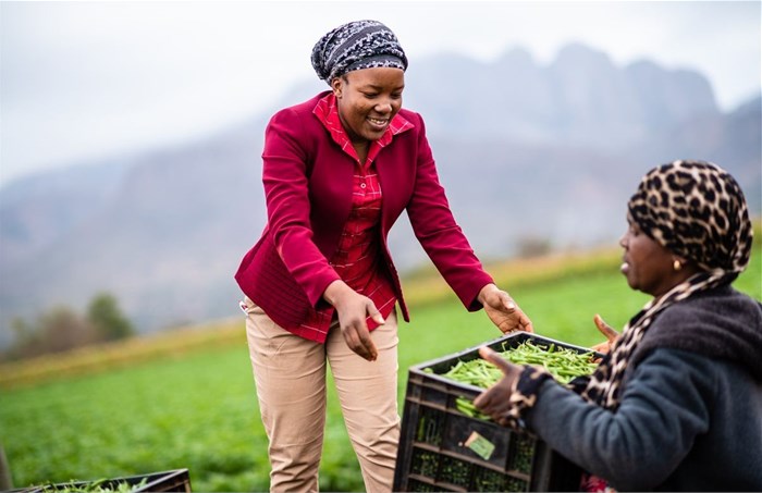 Spar's award-winning Rural Hub programme continues to give emerging farmers a leg up
