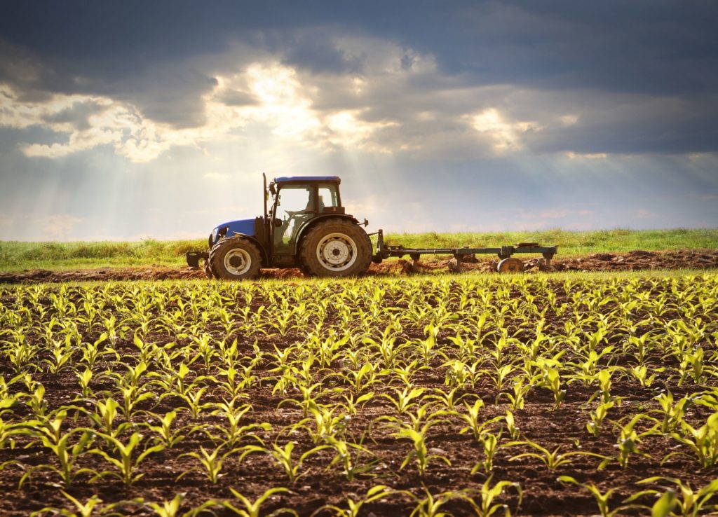 Subsistence farming stimulus vouchers halted