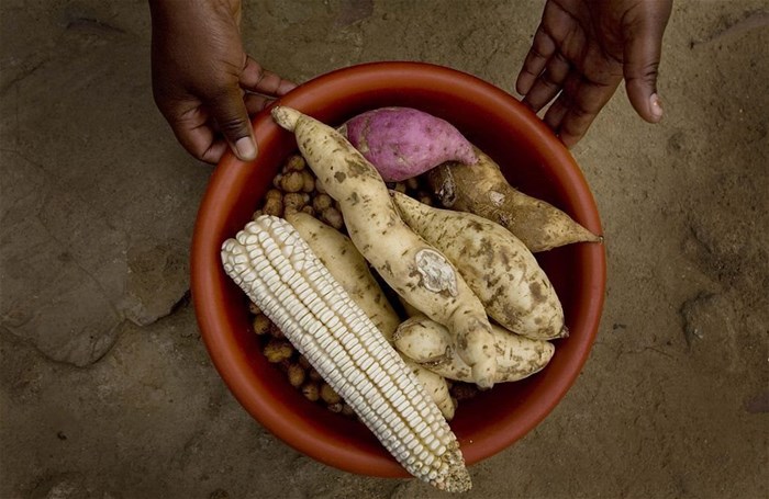 The future of food security: Challenges that farmers are facing