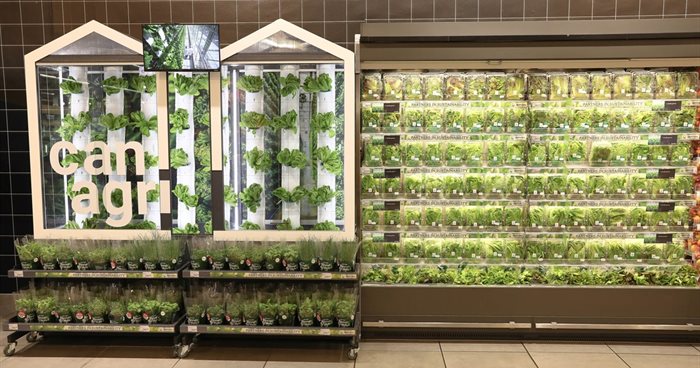 Pick n Pay spruces up fresh produce retail with in-store vertical farms