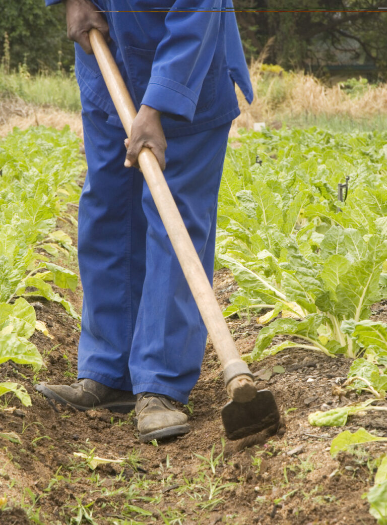 Corruption, water scarcity, and outdated farming hold Africa back ...